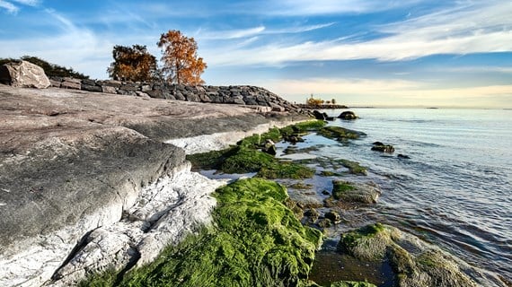 Supporting John Nurminen Foundation in their valuable work to save the Baltic Sea